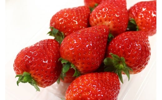 【2026年1月上旬～3月下旬発送予定】栃木名物栃木市の「とちあいか」280g×2パック【フルーツ 果物 くだもの 食品 人気 おすすめ 】