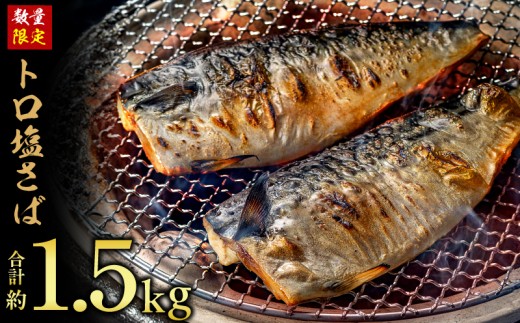 訳あり トロ 塩サバ フィレ 約1.5kg 鯖 さば 訳アリ わけあり 切り身 塩さば 塩鯖 フィーレ 魚貝 魚介 人気 冷凍 冷凍食品 大容量 切身 家庭用 レシピ おかず おつまみ 惣菜 弁当 不揃い 規格外 傷 味噌煮 煮付け 竜田揚げ 南蛮漬け グルメ 贈答 贈物 ギフト 長期保存 小分け 焼き方 炊き込み お取り寄せ ふるさと納税 ふるさと納税鯖 送料無料 千葉県 銚子市 飯田商店