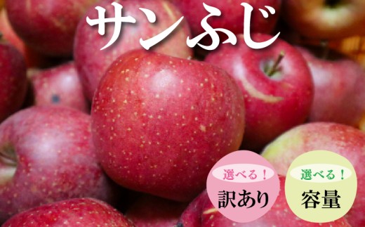 【選べる！訳あり＆容量】サンふじ 3~10kg（ 川崎町産 ）りんご apple リンゴ 林檎 果物 フルーツ デザート スイーツ 果樹園 国産 新鮮くだもの フルーツ  産地直送 ご家庭 贈答 人気 ギフト 旬 数量限定 福岡県 川崎町 