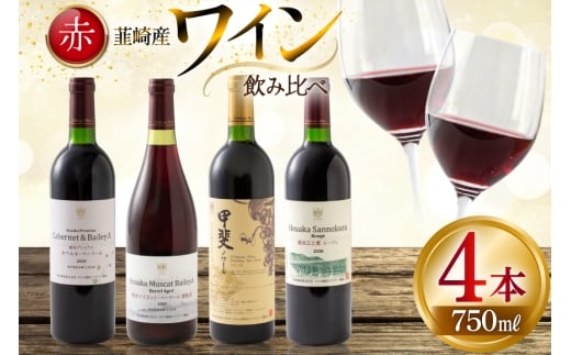 赤ワイン 4本 飲み比べセット　750ml×4本 [株式会社まあめいく 山梨県 韮崎市 20745328] ワイン Wine わいん 赤 飲み比べセット お酒 酒 山梨ワイン セット