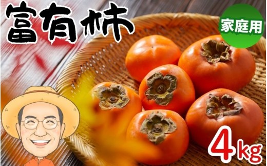 お試しに!【ご家庭用】富有柿 約4kg(箱込) カキエモン農園 【2025年11月下旬~12月下旬頃順次発送】/ 和歌山県 かつらぎ町 果物 くだもの フルーツ 柿 かき 和歌山 人気 送料無料【BX-kkem032】