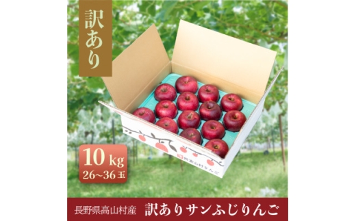訳ありりんご 10kg(26~36玉)|常温配送・2025年12月以降発送|長野県高山村産【1691165】