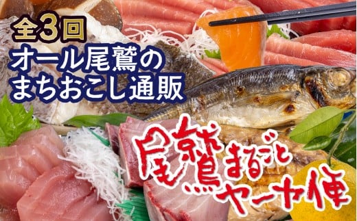 「オール尾鷲」の大人気まちおこし通販便（年3回） 尾鷲まるごとヤーヤ便 （年3回） 【12月31日までにお申し込みの方にオリジナルグッズプレゼント！】 YA-11