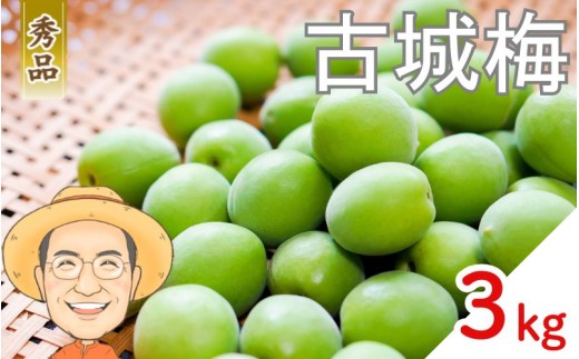 【秀品】古城梅 約3kg (＋保証100g) L～Mサイズ カキエモン農園 【2026年5月下旬～6月中旬頃順次発送】 和歌山産 梅干し 梅酒 梅シロップ 果実 うめ 梅 ウメ カキエモン 農園 送料無料 なんこううめ なんこうばい なんこう梅 加工用 家庭用 紀州【BX-kkem021】 2422192 - 和歌山県かつらぎ町