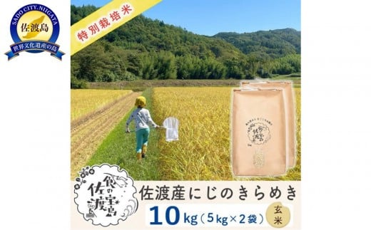 佐渡島産にじのきらめき 玄米10Kg（5Kg×2袋)  令和7年 特別栽培米 農家直送