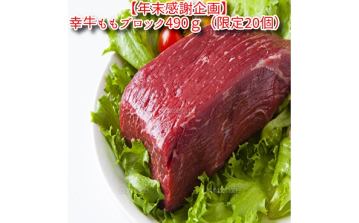 ＜年末感謝企画＞＜小町の里・幸牛＞黒毛和牛ももブロック肉　490g(限定20個)【1692771】