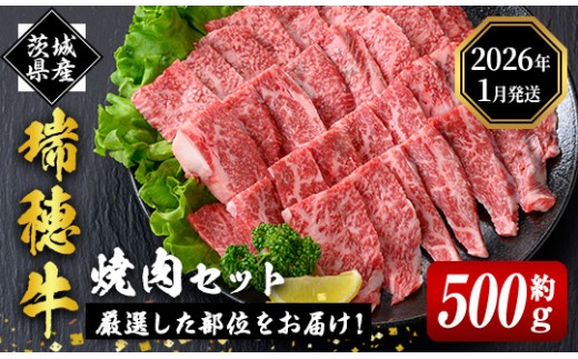 <2026年1月中に発送> 瑞穂牛焼肉セット 約500g 牛肉 やきにく バラ 肩ロース 肩 肩バラ トモサンカク イチボ ブランド牛 冷凍配送 茨城県 お中元 焼肉の日 敬老の日 瑞穂牛 焼肉 10種 盛り合わせ 食べ比べ 国産 肉 BBQ セット 【(株)フロンティアロード】【ho0858-1-01】