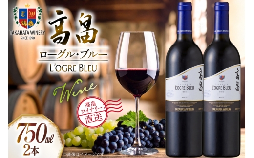 ワイン 赤 高畠 マジェスティック ローグル・ブルー 青おに 750ml 2本 セット [高畠ワイナリー 山形県 高畠町 tk06ays730058] ワインセット 赤ワイン 辛口 酒 お酒 わいん マジェスティックシリーズ 辛口タイプ アルコール ぶどう 果実酒