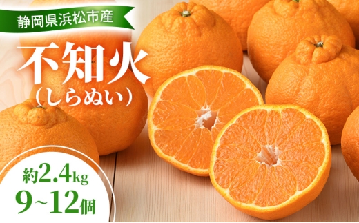【2026年3月以降発送】 不知火 約2.4kg 9～12個 しらぬい デコ かんきつ 柑橘 みかん ミカン 蜜柑 フルーツ 静岡 浜松市 [№5360-0912]