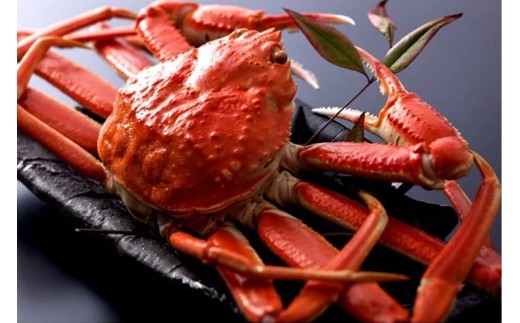 【厳選】茹で松葉蟹 3L(800g前後)×1杯　★1月～2月お届け　OD00072_01