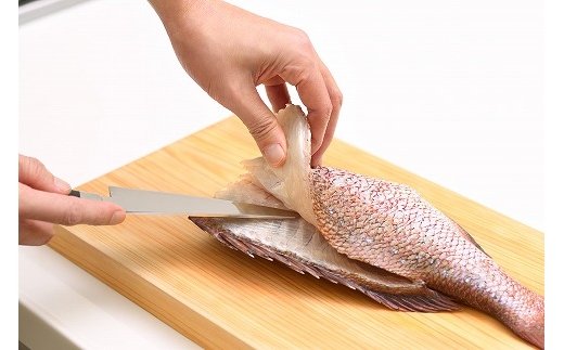 大人の焼魚　骨すき包丁 FC033028 2423558 - 新潟県燕市
