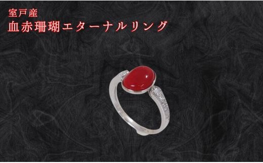 珊瑚 血赤珊瑚 エターナルリング K18 ホワイト ゴールド  天然 赤珊瑚 サンゴ 指輪 K18 ホワイト ゴールド ダイヤモンド ジュエリー 高級 宝石 海の宝石 プレゼント ギフト 記念日 誕生日 一生物 日本製 上品 エレガント アクセサリー レディース ふるさと納税 高知県 室戸市