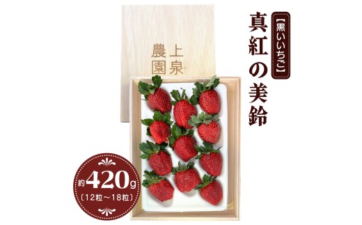 [予約受付] 真紅の美鈴《黒いいちご》約420g 大粒 12粒から18粒入り｜イチゴ 苺 果物 フルーツ [0632]