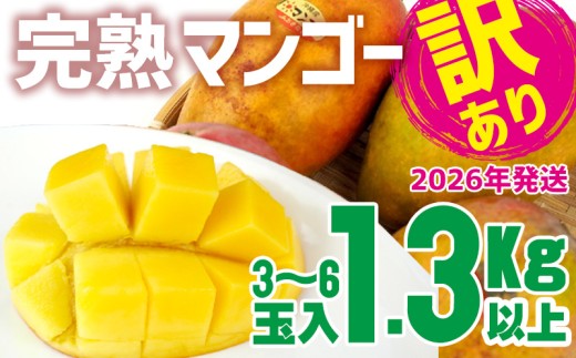 【2026年発送】【訳あり品】共選完熟マンゴー1.3kg以上(3~6玉) 訳アリ マンゴー まんごー 果物 くだもの 果実 お取り寄せ 送料無料 沖縄県産 産地直送 アーウィン 人気 自分用 甘味 県産 ご当地 やんばる ふるさと納税 名護市