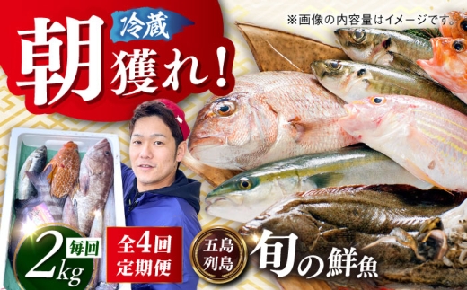 【全4回定期便】【五島列島直送】朝獲れ鮮魚セット2kg 五島市/鯛福丸水産[PDP013]  魚 鮮魚 セット 海鮮 直送 さかな 詰合せ 冷蔵