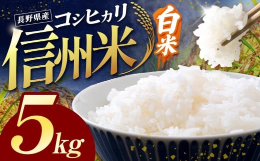 令和7年産 信州米 長野県産 コシヒカリ 白米 5kg | 米 こしひかり コシヒカリ 定期 2回 3回 白米 精米 コメ お米 おこめ 信州米 5kg 10kg 15kg  塩尻市 長野県 信州