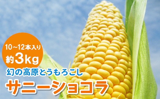 ※予約品※2026年7月中旬から8月上旬の収穫適宜発送★ 幻の高原とうもろこし サニーショコラ 約3kg（10本～12本入）限定 とうもろこし トウモロコシ 大人気 9000円 9,000円 令和8年度産 野菜