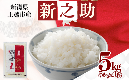 【1月下旬配送】上越市産 新潟 新之助 5kg しんのすけ お米 精米 米 ご飯 2423607 - 新潟県上越市