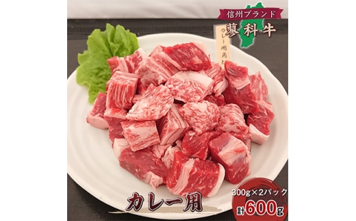 ＜毎月定期便＞＜牛肉カレー用＞信州蓼科牛の厳選部位 おまかせ 600g(300g×2パック)全6回【4078075】 2421540 - 長野県御代田町