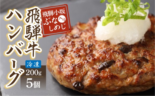 【お一人様にもおすすめ！】飛騨牛ハンバーグ（200g×5個）冷凍 個包装 長期保存に便利 ハンバーグ