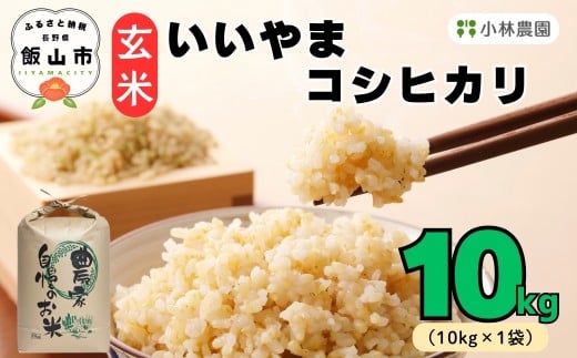 <令和７年産 新米>  いいやまコシヒカリ 《 玄米 》10kg （10kg×1袋）｜長野県 飯山市 新米 こしひかり 玄米 信州 おいしい おこめ 米 コメ ごはん 2422670 - 長野県飯山市