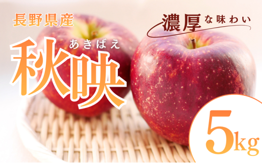秋映　5kg　りんご リンゴ 林檎 果物 フルーツ 長野 [№5312-1518]