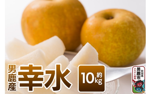 【令和8年度 早期受付】幸水 約10kg 9月上旬～9月中旬発送 梨 旬の果物 ギフト 秋田県 男鹿市 男鹿ファーム直売所