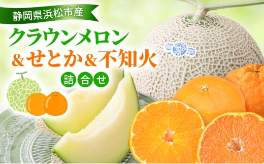 【2026年2月発送】クラウンメロン&せとか&不知火詰合せ クラウンメロン 1個 約1.3kg 白等級 せとか 4個 柑橘の最高峰 ジューシー 不知火 4個 しらぬい デコ メロン めろん 柑橘 かんきつ みかん ミカン 蜜柑  静岡 浜松市  [№5360-0906]