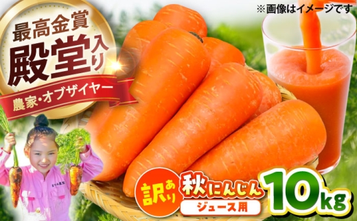 【2026年3月発送】【訳あり】ジュース用秋にんじん / にんじん ニンジン 野菜 β-カロテン ジュース用 食物繊維 抗酸化作用 臭み少ない 栄養満点 熊本県産 菊陽町 1万円以下 10000円以下【株式会社 まゆみ農園】[BHCW007] 2422604 - 熊本県菊陽町