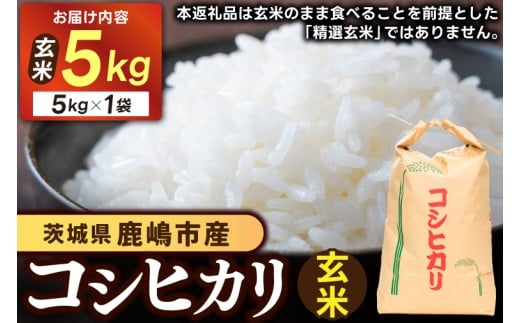 ★先行予約 令和8年産★ 米 コシヒカリ 5kg (玄米) 鹿嶋市産【お米 こしひかり 茨城県 鹿嶋市 15000円以内】 (KDS-26)