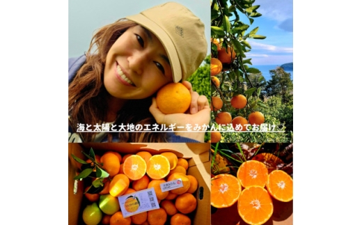 温州みかん5kgレモン入り★ 甘味と酸味のバランスが良く、濃厚な香りが特徴です<先行受付>【1531515】