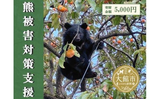 【返礼品なし】熊被害対策支援(大館市)