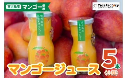 ＜当社人気商品＞宮古島のしあわせマンゴー　小瓶５本セット【90ｇ×5本】（T113）