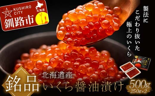  ★レビューキャンペーン実施中！★ 笹谷商店 北海道産いくらしょう油漬500g（250g×2個パック入り） ふるさと納税 いくら F5F-0053