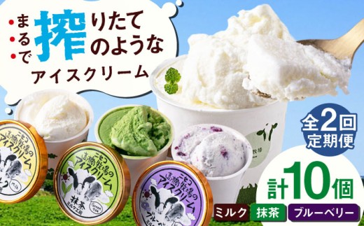 カップアイスセット(130ml×10個) アイス アイスクリーム ジェラート ミルク 抹茶 ブルーベリー セット