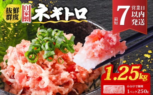 愛媛県松山市のふるさと納税 ネギトロ 1.25kg (250g×5パック) 冷凍 小分け | まぐろ 鮪 ネギトロ ねぎとろ まぐろたたき まぐろのたたき マグロたたき ネギとろ ねぎトロ maguro 愛媛県 松山市