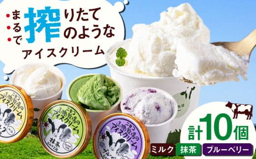 カップアイスセット(130ml×10個) アイス アイスクリーム ジェラ―ト ミルク 抹茶 ブルーベリー セット