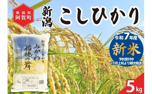 《令和7年産米》 新潟県阿賀町産 コシヒカリ「みかわ稲穂の舞」5kg（1袋）
