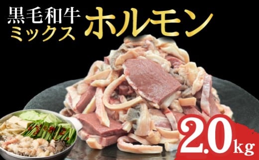 宮崎県産ミックスホルモン 500g×4P 計2kg（牛肉 肉 ホルモン 黒毛和牛 もつ鍋 焼肉 鍋）