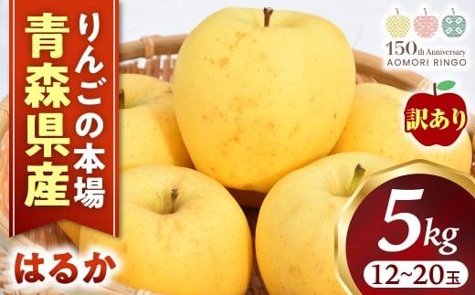【訳あり】高級りんご【はるか】約5kg（1