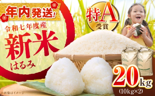【年内発送】【令和7年産】【特Aランク受賞実績あり！】はるみ 20kg(10kg×2袋)【井上農園】 新米 20kg (10kg×2袋) 令和7年産はるみ コシヒカリ の遺伝子を引き継ぐ こしひかり キヌヒカリ 神奈川県産 精米 開成町 米 ご飯 白米 お米 特A 新米 こだわり 白米 こめ コメ お米 2025年産 おこめ 精米 R7 ご飯 ごはん R7 白飯 ふるさと納税 [BDBB004]