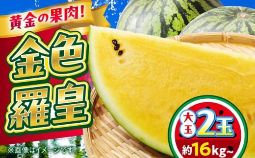 【2026年 先行予約】【数量限定】すいか 金色羅皇 2玉入り 約16kg以上 黄色い スイカ 甘い【日本フルーツ株式会社】 [AYDA011]