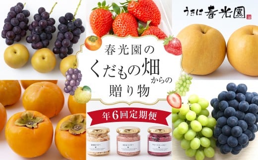 【年6回定期便】春光園のくだもの畑からの贈り物 (いちご・ぶどう・梨・柿・フルーツバター) いちご 苺 ぶどう 柿 葡萄 梨 イチゴ 旬 フルーツ 果物 くだもの 果実 バター 冷蔵 福岡県 うきは市
