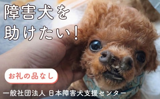 【返礼品なし】 障害犬 保護犬の支援 ラッキープラン 保護 支援 里親 譲渡 治療 餌 犬 動物愛護 藤枝市 静岡県