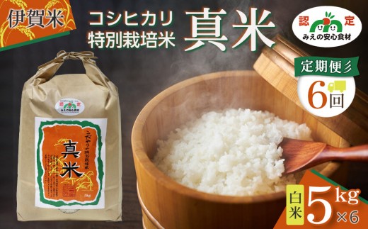 伊賀米コシヒカリ特別栽培米「真米」白米5kg ×6回お届け定期便 2426835 - 三重県伊賀市