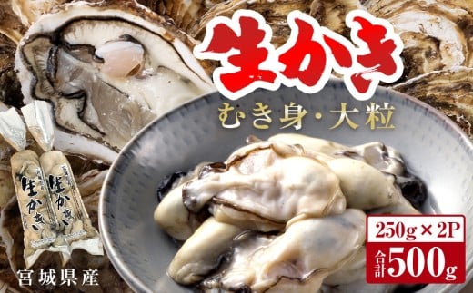 宮城県産生かきむき身 大粒