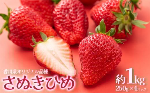 いちご 1kg 250g×4パック さぬきひめ 苺 ｲﾁｺﾞ ストロベリー ジューシー 旬 果物 フルーツ くだもの デザート おやつ スイーツ お菓子 ショートケーキ タルト ケーキ ジャム クッキー 贈答用 プレゼント ギフト お歳暮 香川県 丸亀市