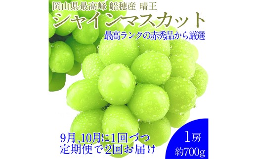赤秀ぶどうプレミアム シャインマスカット 晴王 1房 約700g 【先行予約：2026年9月上旬～10月下旬発送予定2回定期便】 船穂産 赤秀品以上 皮ごと食べる みずみずしい 糖度保証 岡山県産 満天フルーツ 定期便 冷蔵 岡山県 倉敷市