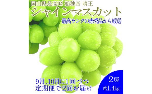 赤秀ぶどう プレミアム シャインマスカット 晴王 2房 約1.4kg 【先行予約：2026年9月上旬～10月下旬発送予定2回定期便】　船穂産 赤秀品以上 皮ごと食べる みずみずしい 糖度保証 岡山県産 満天フルーツ 定期便 冷蔵 岡山県 倉敷市