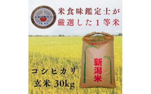 R7年産 新潟県岩船産 コシヒカリ玄米30kg　米食味鑑定士が厳選吟味した1等米 [青南総合農園]【1693748】